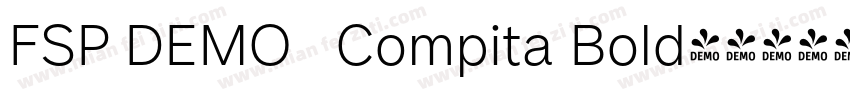 FSP DEMO   Compita Bold字体转换